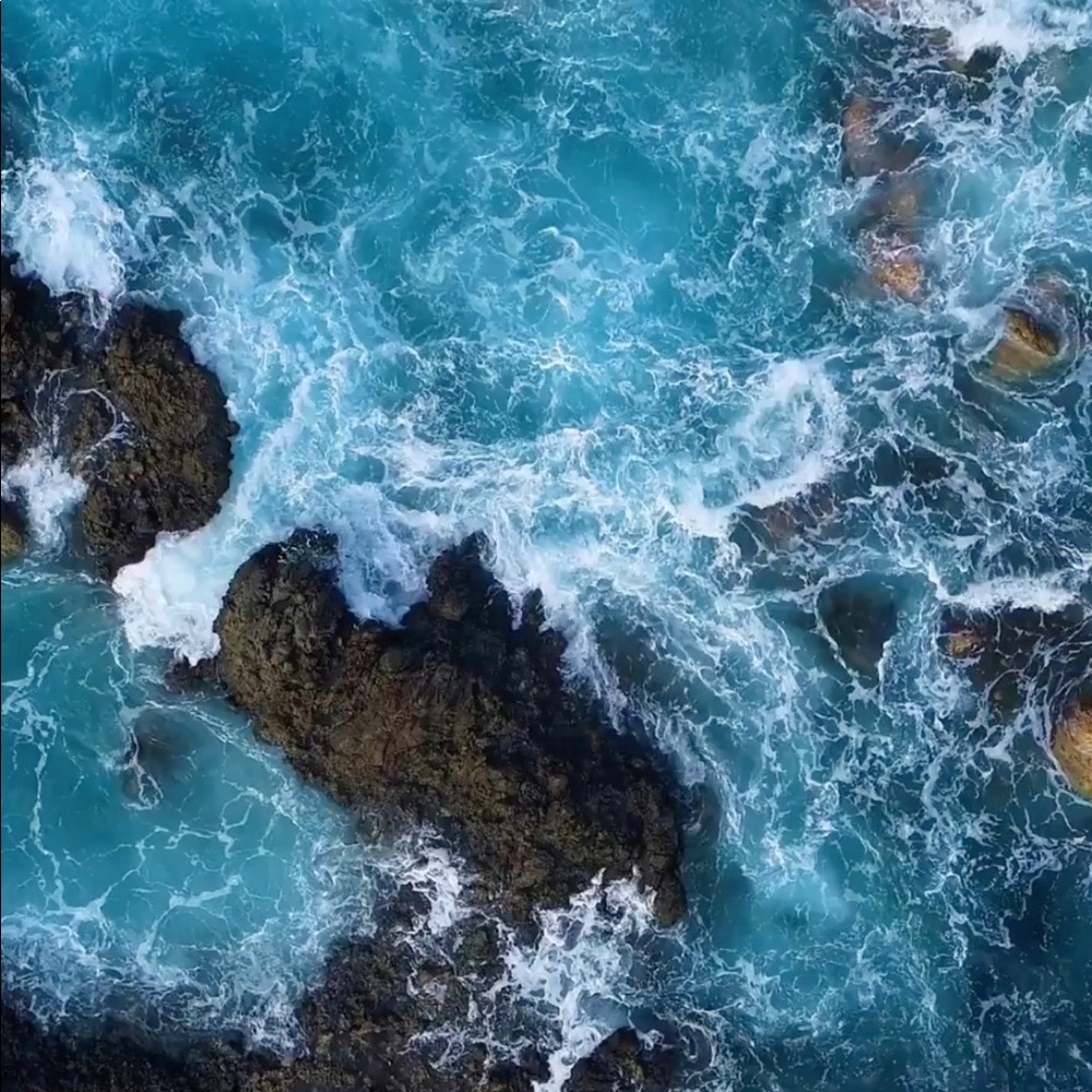 Meet your Posher, Marissa